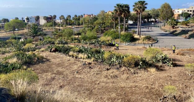 250714 PARQUE SANTA CATALINA