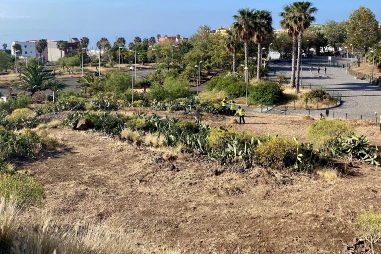 250714 PARQUE SANTA CATALINA