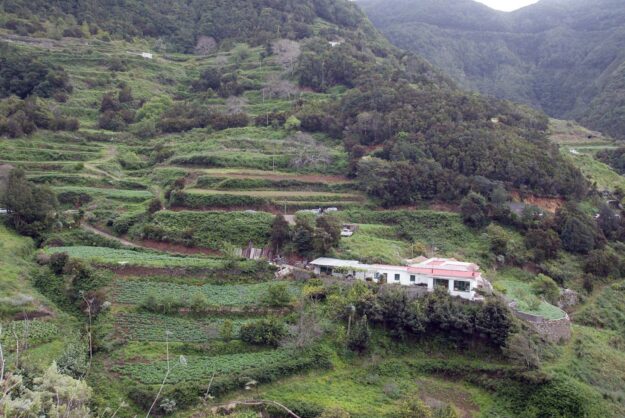 250715 Anaga Riesgo Forestal