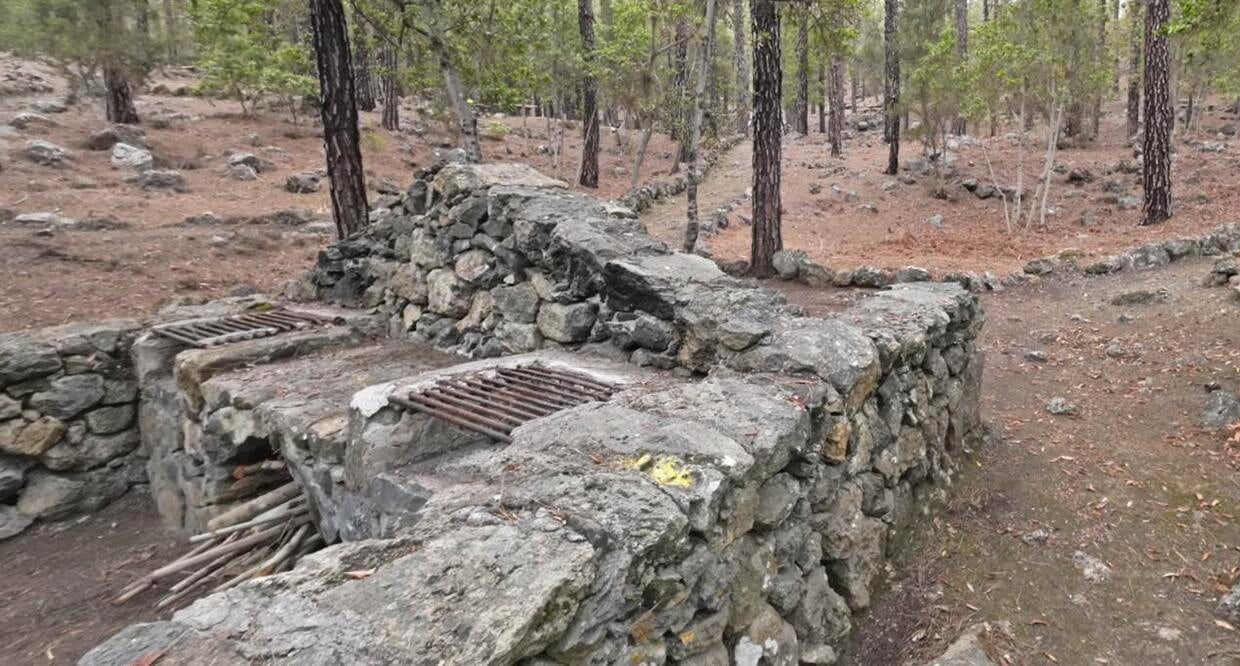Área Recreativa Las Hayas-Icod de los Vinos