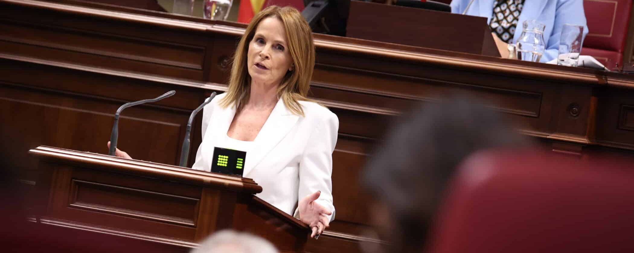 La portavoz del GPP, Luz Reverón