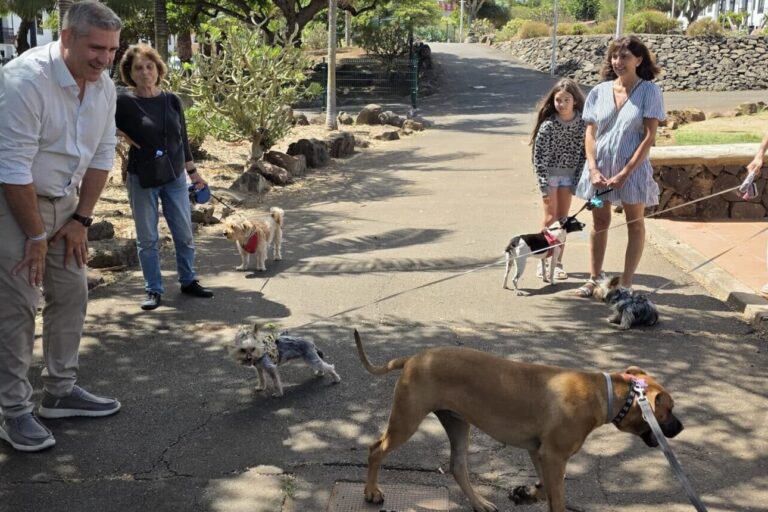 Parque Canino 4