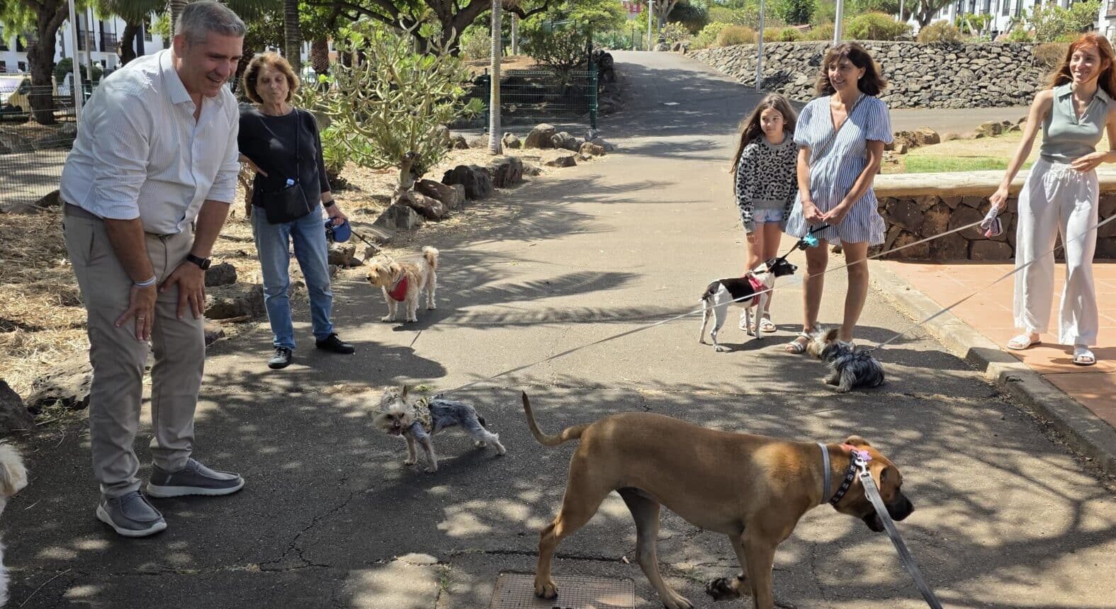 Parque Canino 4
