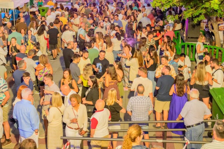 Recurso Gran Fiesta de Vino y Papas de Los Realejos (2)
