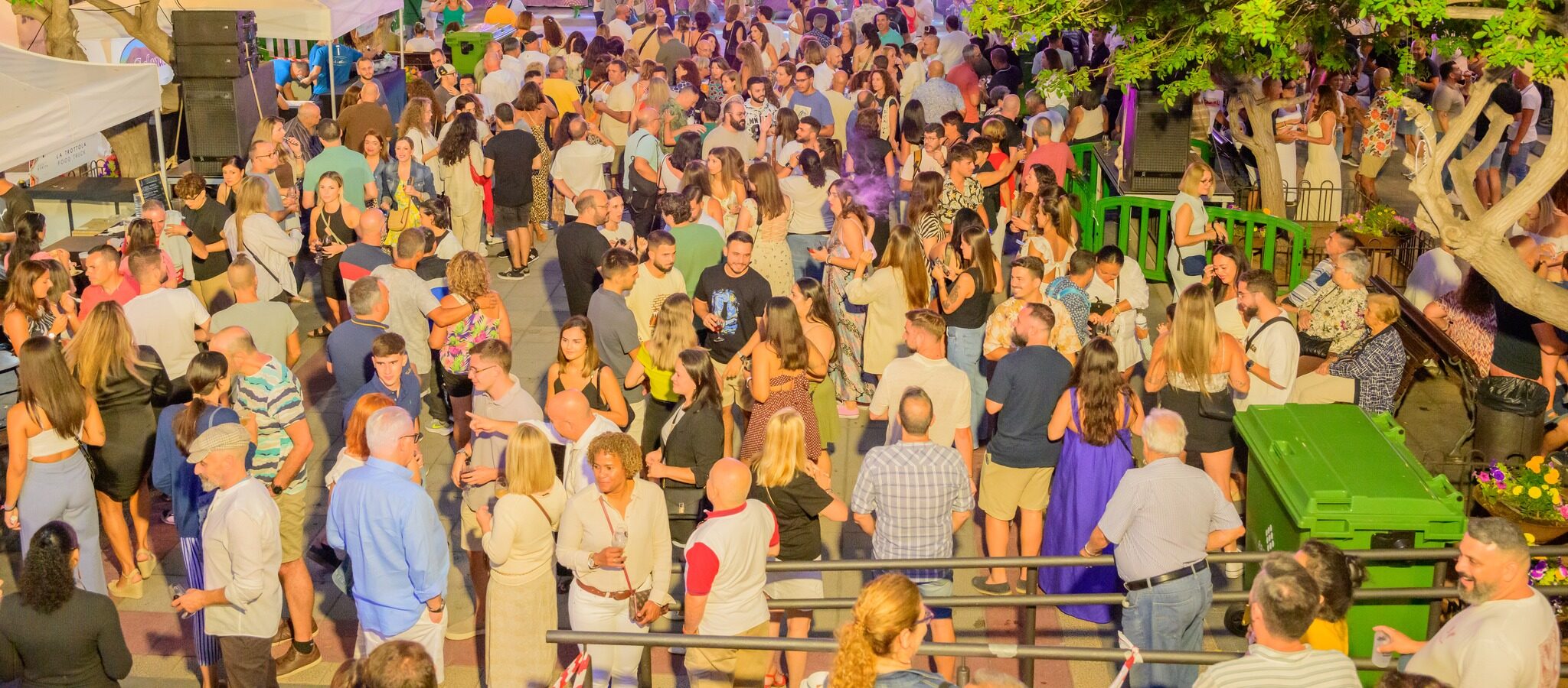 Recurso Gran Fiesta de Vino y Papas de Los Realejos (2)