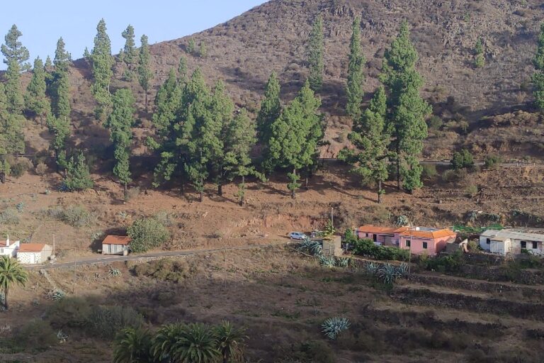 190825 Igualero, Vallehermoso, La Gomera