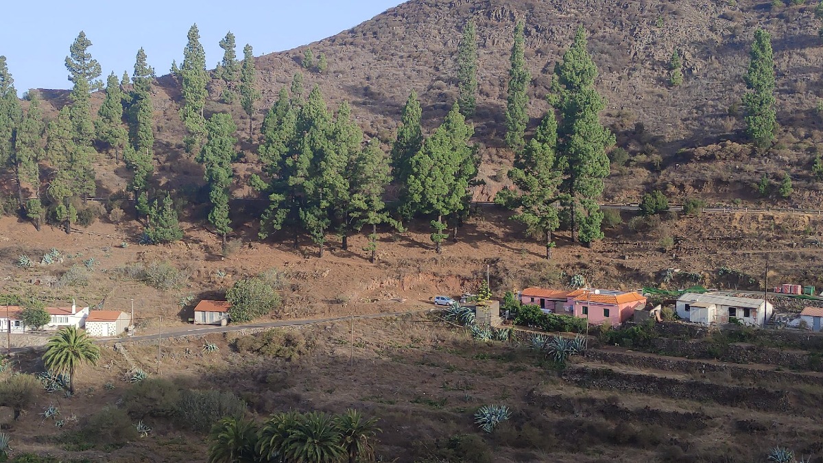 190825 Igualero, Vallehermoso, La Gomera