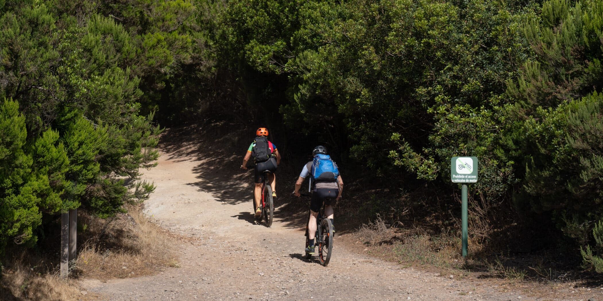 200825 Visitantes en una pista forestal de cicloturismo en La Gomera