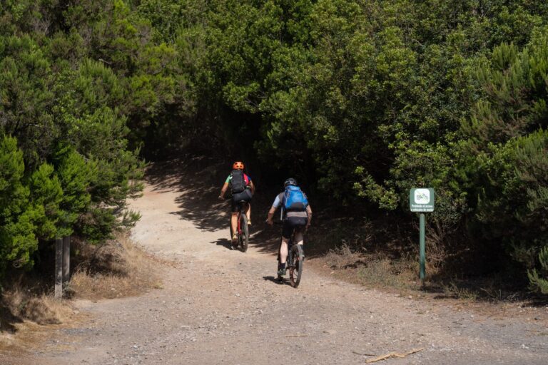 200825 Visitantes en una pista forestal de cicloturismo en La Gomera