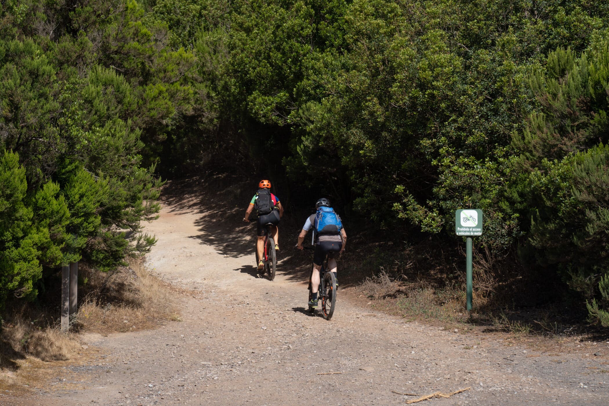 200825 Visitantes en una pista forestal de cicloturismo en La Gomera