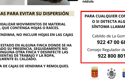 210825 Campaña de difusión de medidas de detección y preventivas ante la filoxera en La Gomera