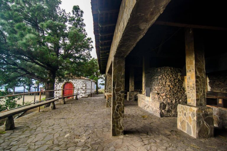 250825 Área Recreativa de Las Nieves, en La Gomera
