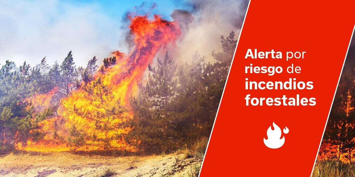 ALERTA POR RIESGO DE INCENDIOS FORESTALES EN CANARIAS 19-8-25
