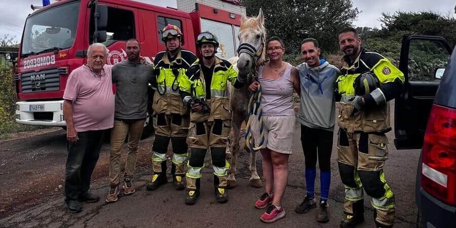 Bomberos de Tenerife rescatan a un caballo caído en un barranco en La Esperanza (2)