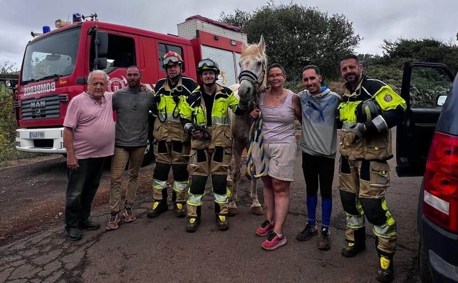 Bomberos de Tenerife rescatan a un caballo caído en un barranco en La Esperanza (2)