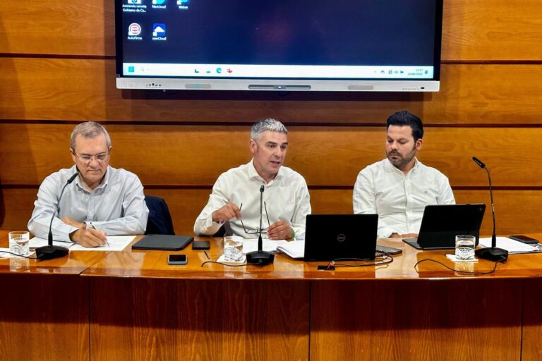 CANARIAS PROHÍBE EL MOVIMIENTO DE UVA Y MATERIAL VEGETAL DE VID PARA CONTENER LA FILOXERA1 20-8-25