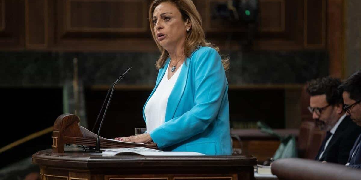 CV pleno 8 oct 2024