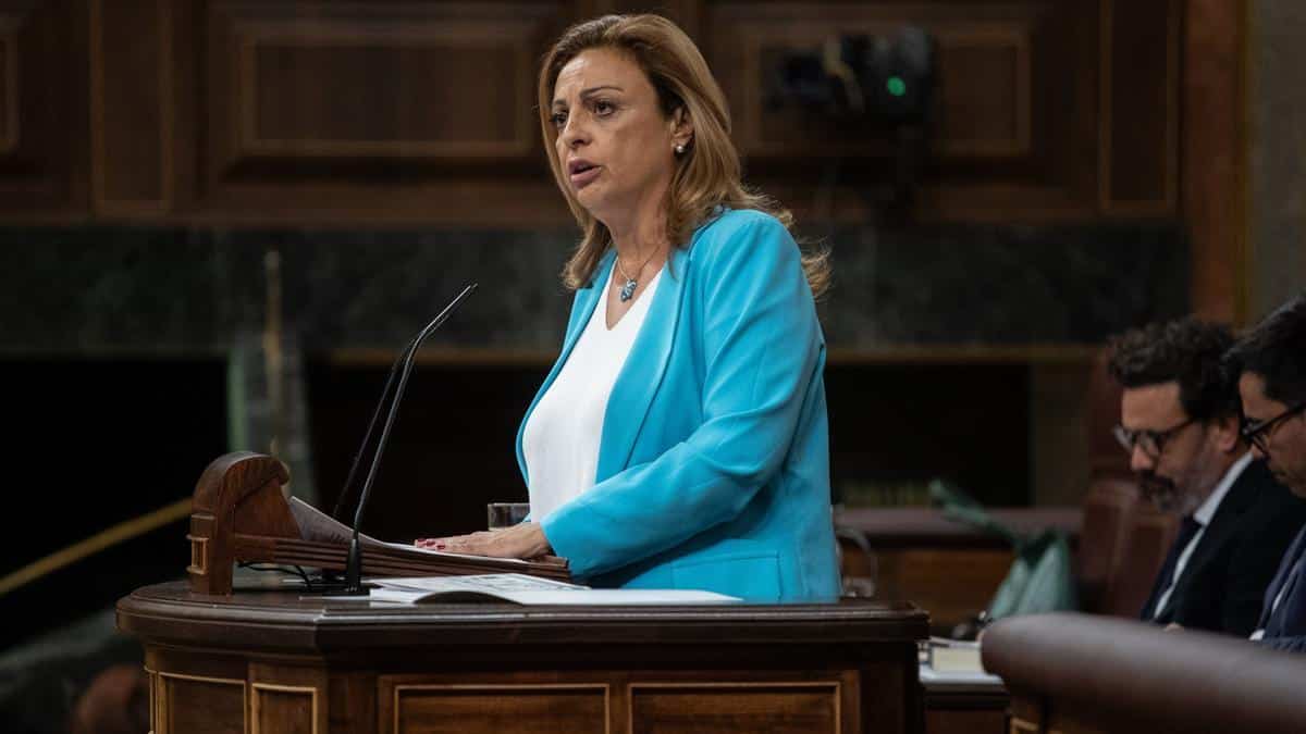 CV pleno 8 oct 2024