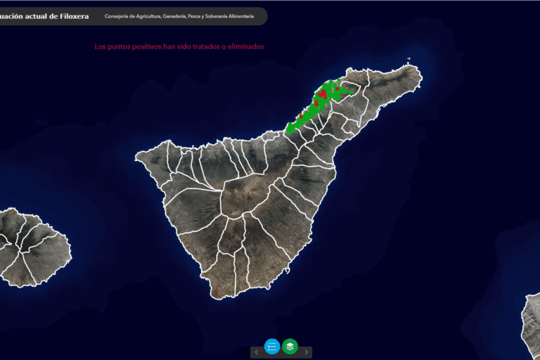 EL GOBIERNO PUBLICA UN MAPA CON LA EVOLUCIÓN EN TIEMPO REAL DE LAS PROSPECCIONES PARA EL CONTROL DE LA FILOXERA 22-8-25