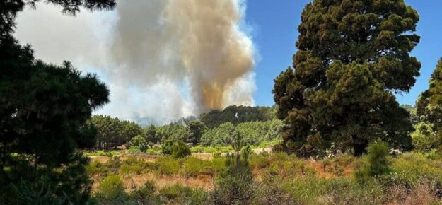 EL HIERRO1 23-8-25
