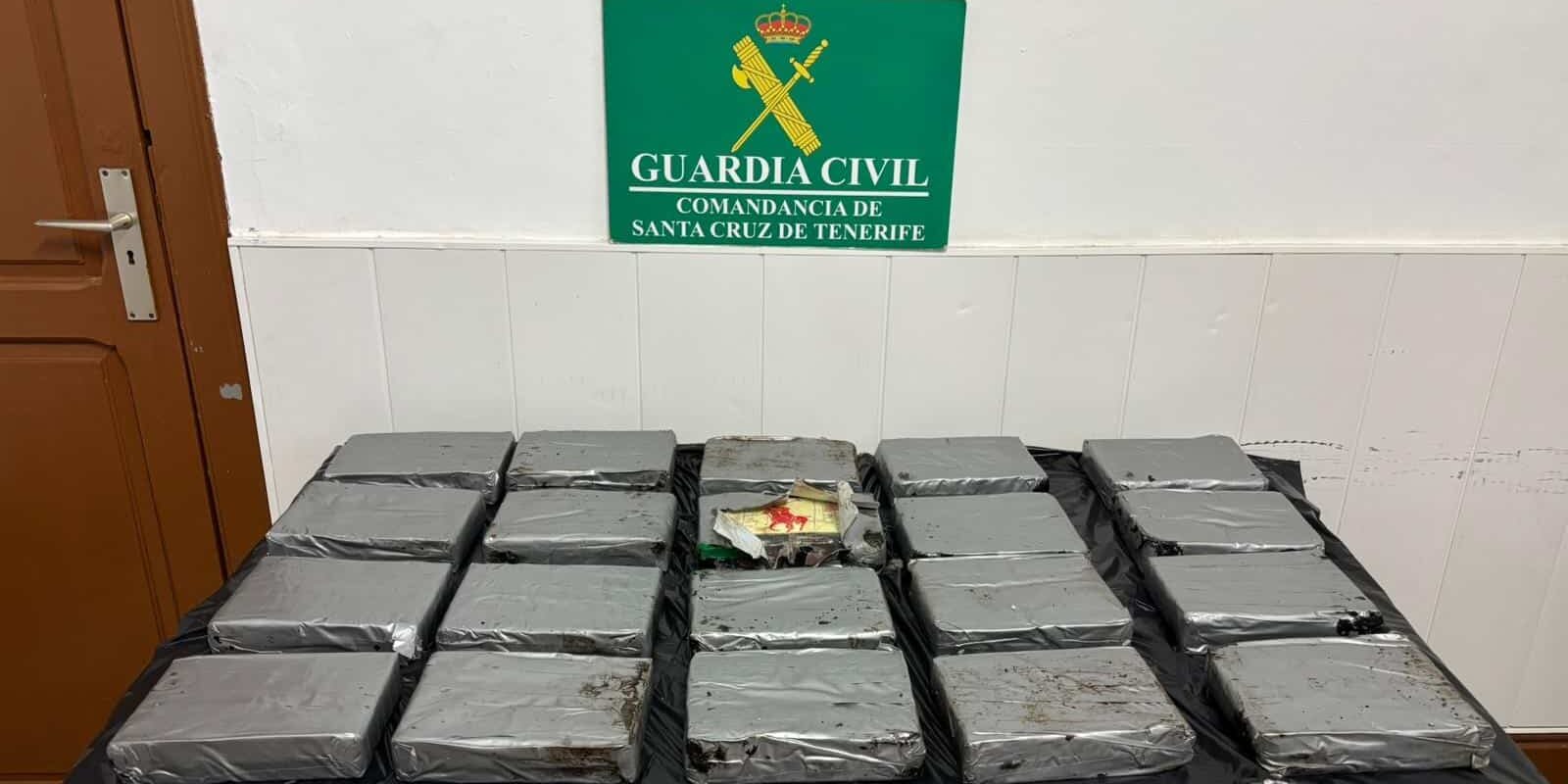 FOTO1