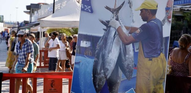 Feria pescado 2 2024