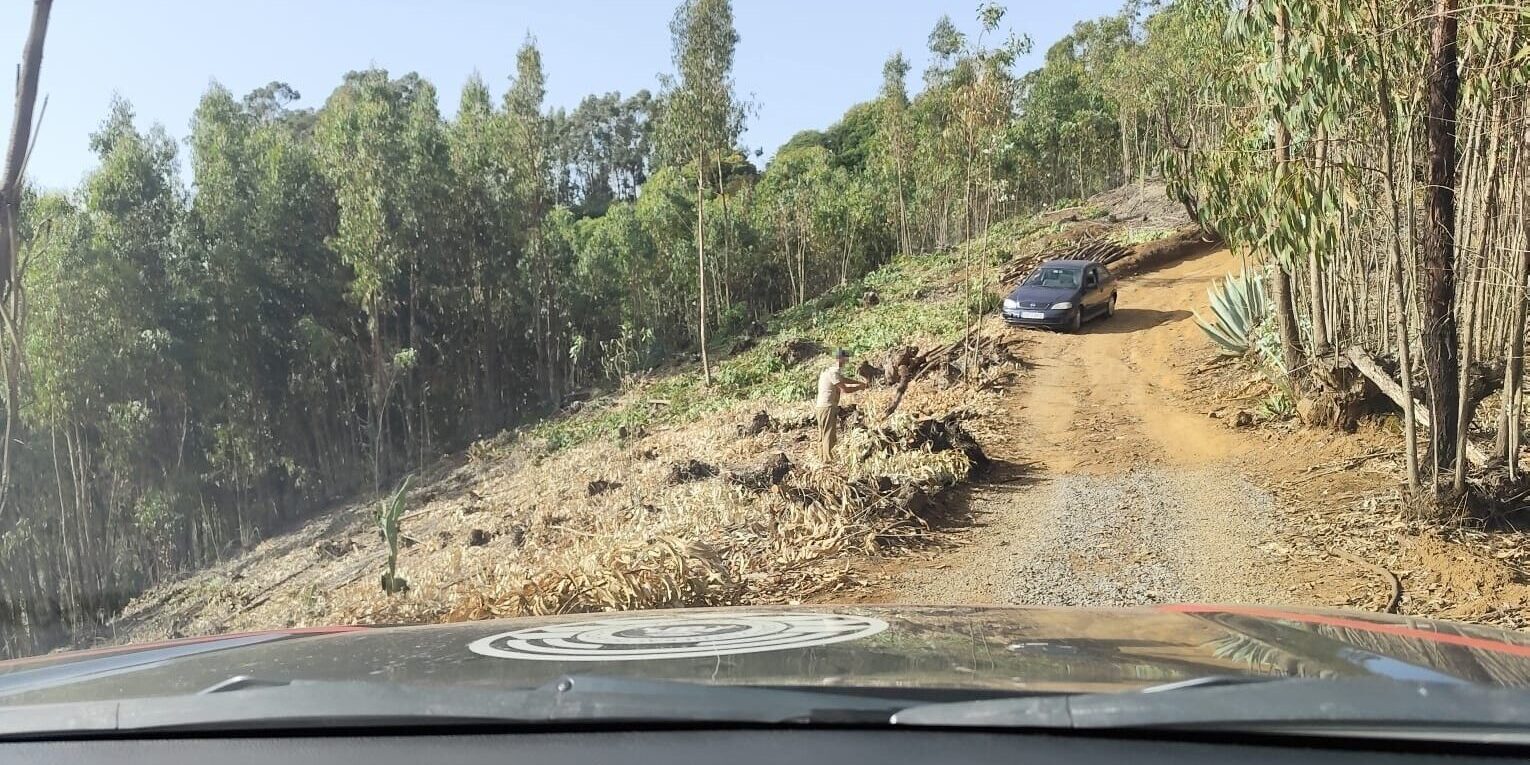 LA POLICÍA AUTONÓMICA DETIENE A UNA PERSONA QUE TALABA ÁBOLES CON UNA MOTOSIERRA EN PLENA ALERTA MÁXIMA 9-8-25