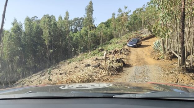 LA POLICÍA AUTONÓMICA DETIENE A UNA PERSONA QUE TALABA ÁBOLES CON UNA MOTOSIERRA EN PLENA ALERTA MÁXIMA 9-8-25