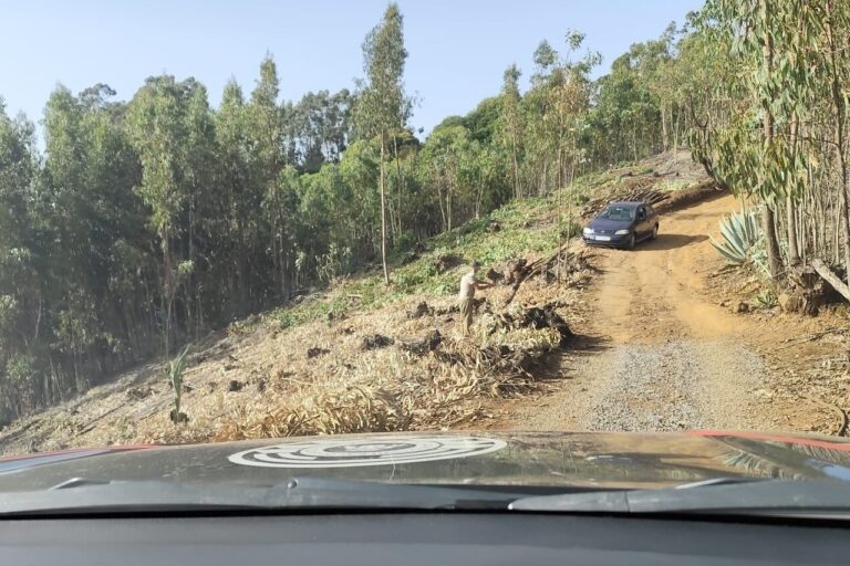LA POLICÍA AUTONÓMICA DETIENE A UNA PERSONA QUE TALABA ÁBOLES CON UNA MOTOSIERRA EN PLENA ALERTA MÁXIMA 9-8-25