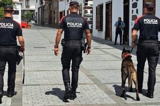 LA POLICÍA AUTONÓMICA DETIENE EN LOS LLANOS DE ARIDANE A UN INDIVIDUO POR TRÁFICO DE DROGAS 25-8-25