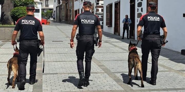 LA POLICÍA AUTONÓMICA DETIENE EN LOS LLANOS DE ARIDANE A UN INDIVIDUO POR TRÁFICO DE DROGAS 25-8-25