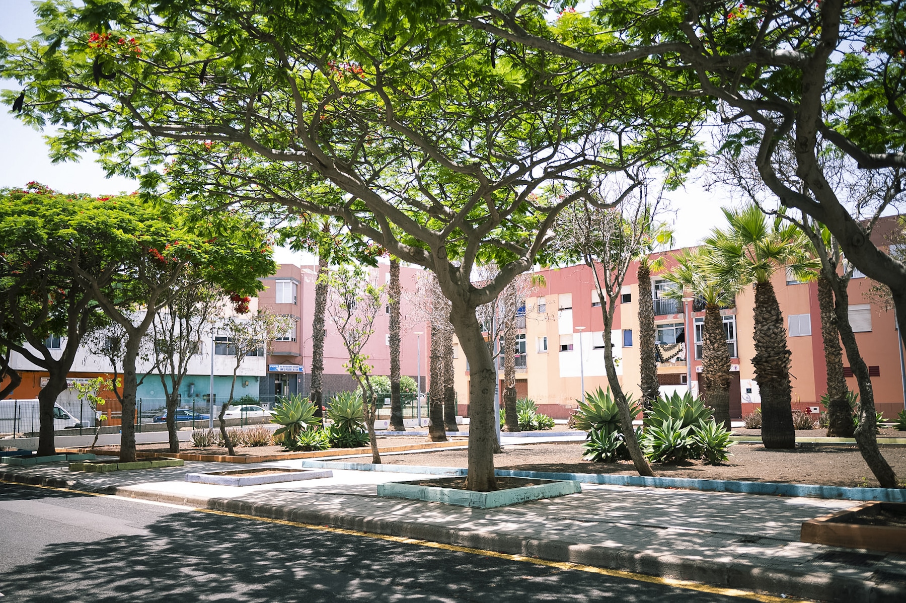Plaza Avenida La Libertad 2