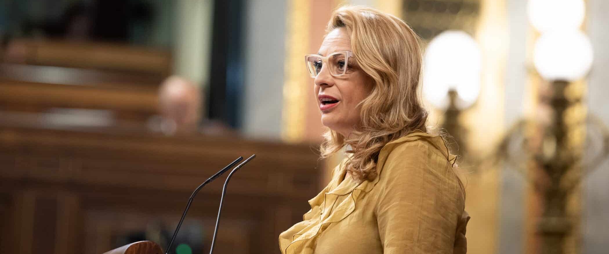 Pleno 22 de julio 2025