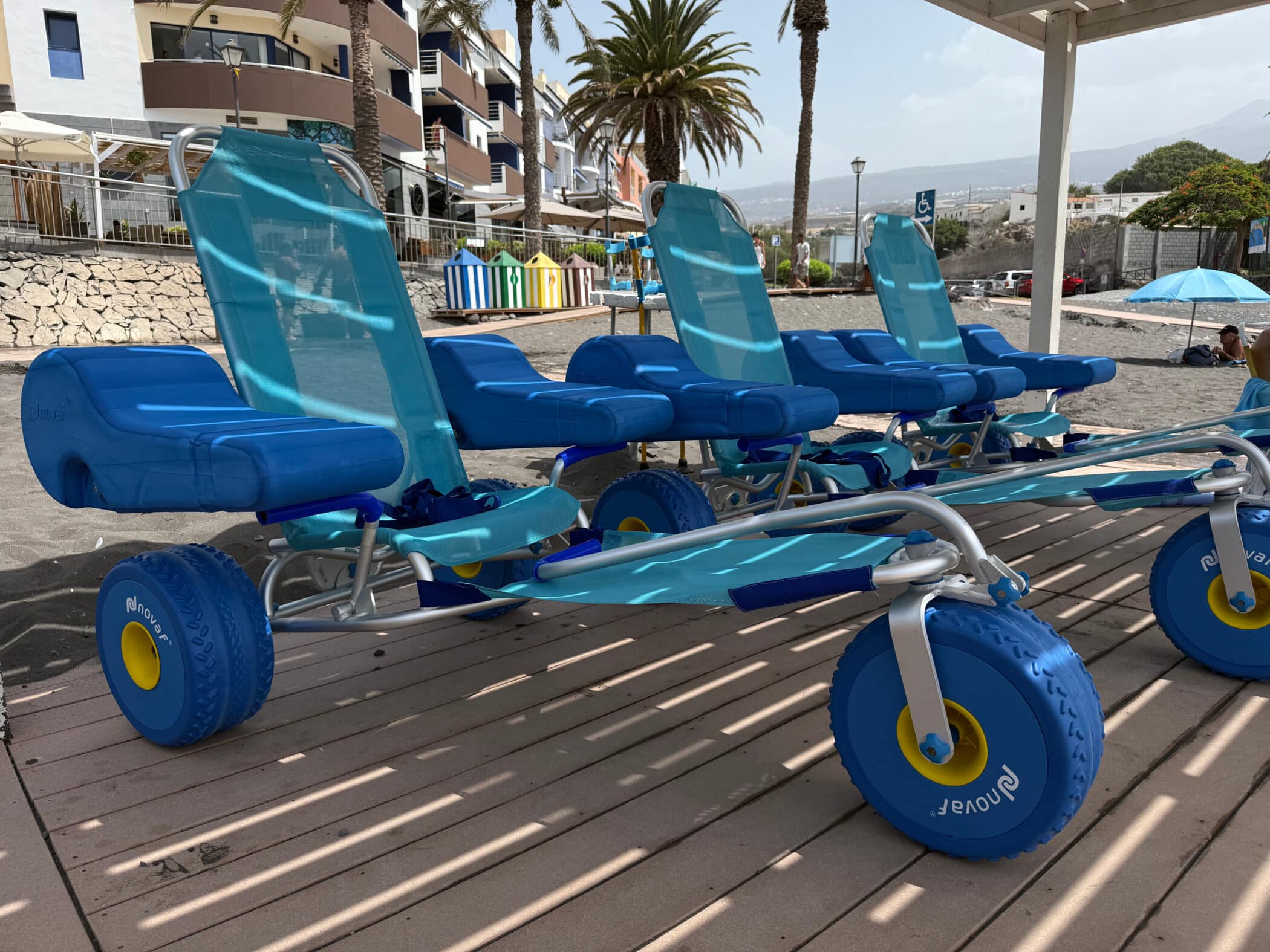 Silals anfibias en Playa San Juan