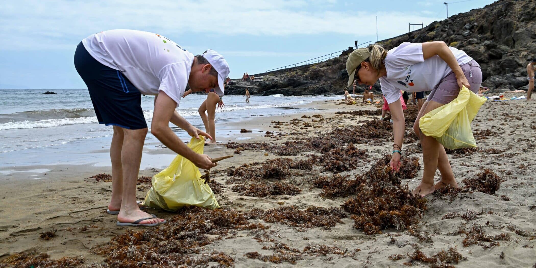 Voluntariado Ambiental