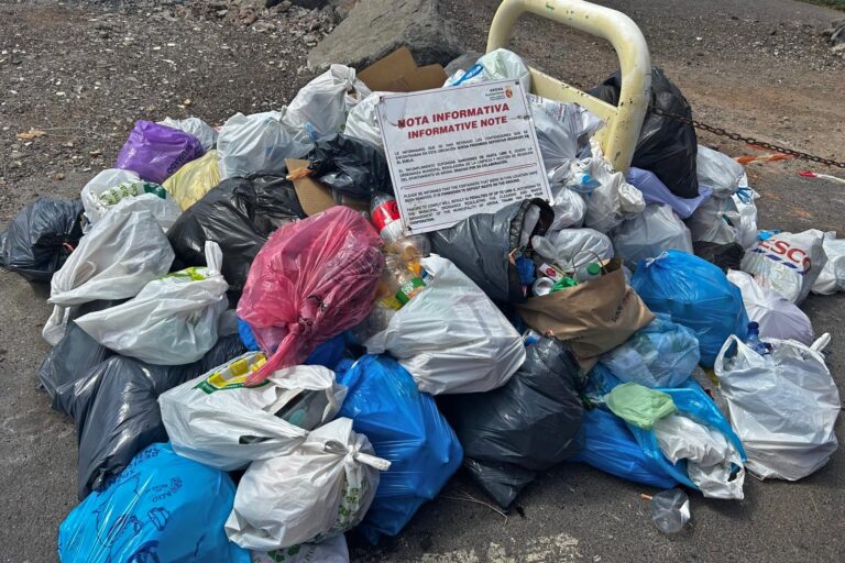 basura2Arona