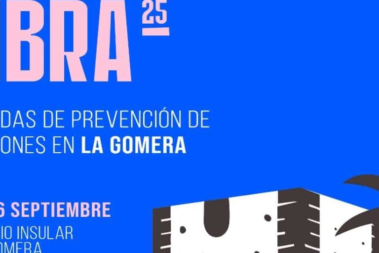 170925 Cartel jornada VIBRA25