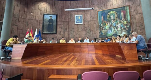 190925 Sesión del Pleno del Cabildo Insular de La Gomera