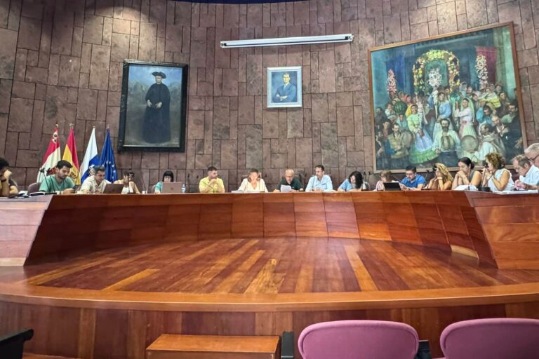 190925 Sesión del Pleno del Cabildo Insular de La Gomera