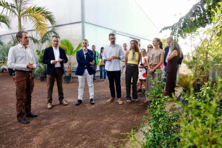 250923 Viveros Palmetum 2