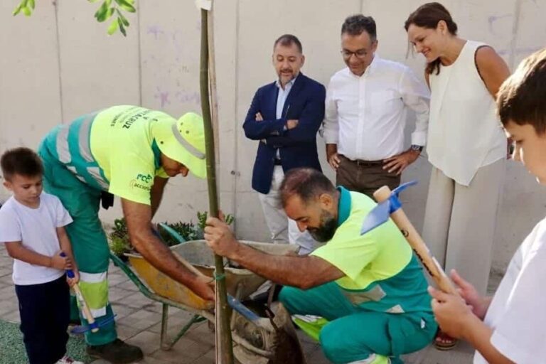 250924 Plantación árboles CEIP Los Verodes