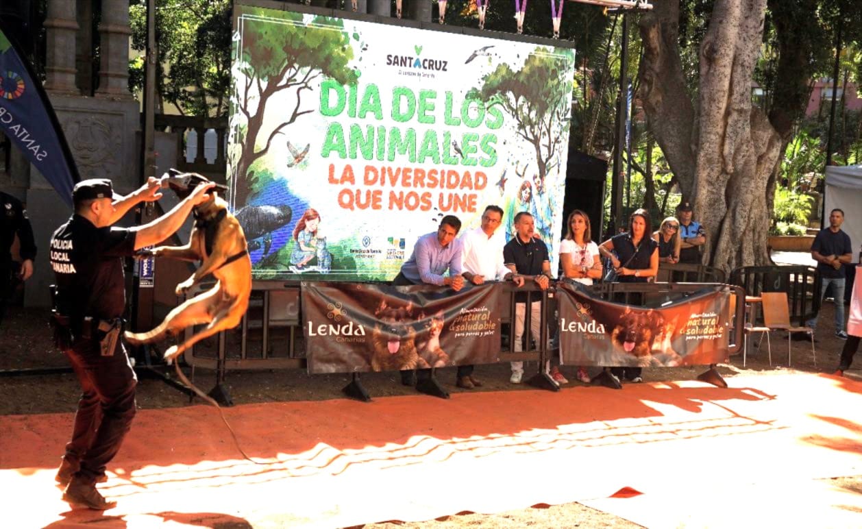 250927 Día de los Animales