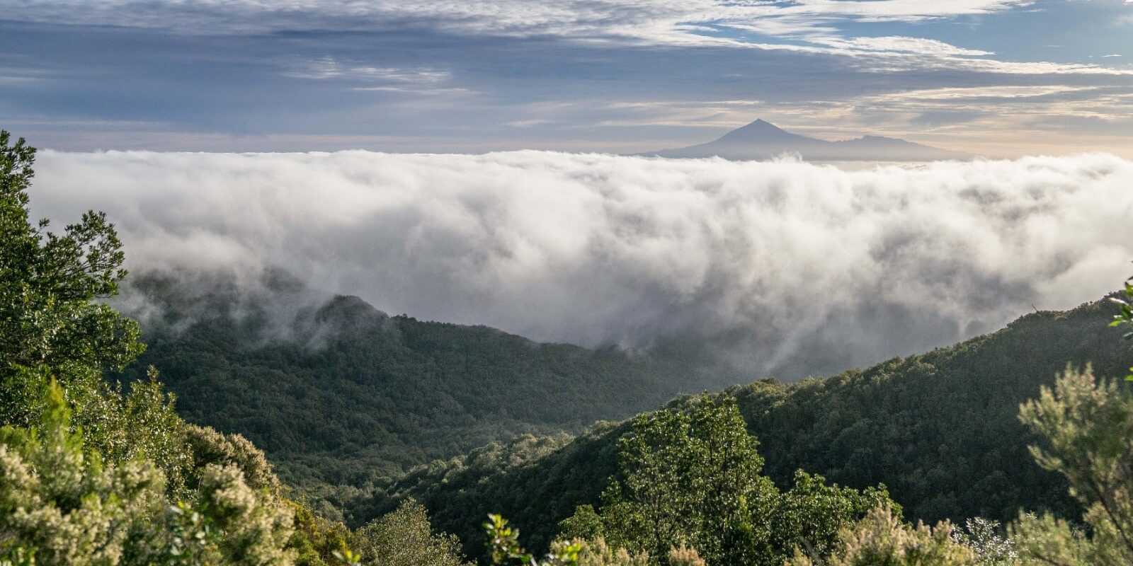 290925-isla de la-gomera (1)