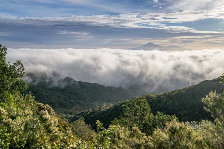 290925-isla de la-gomera (1)