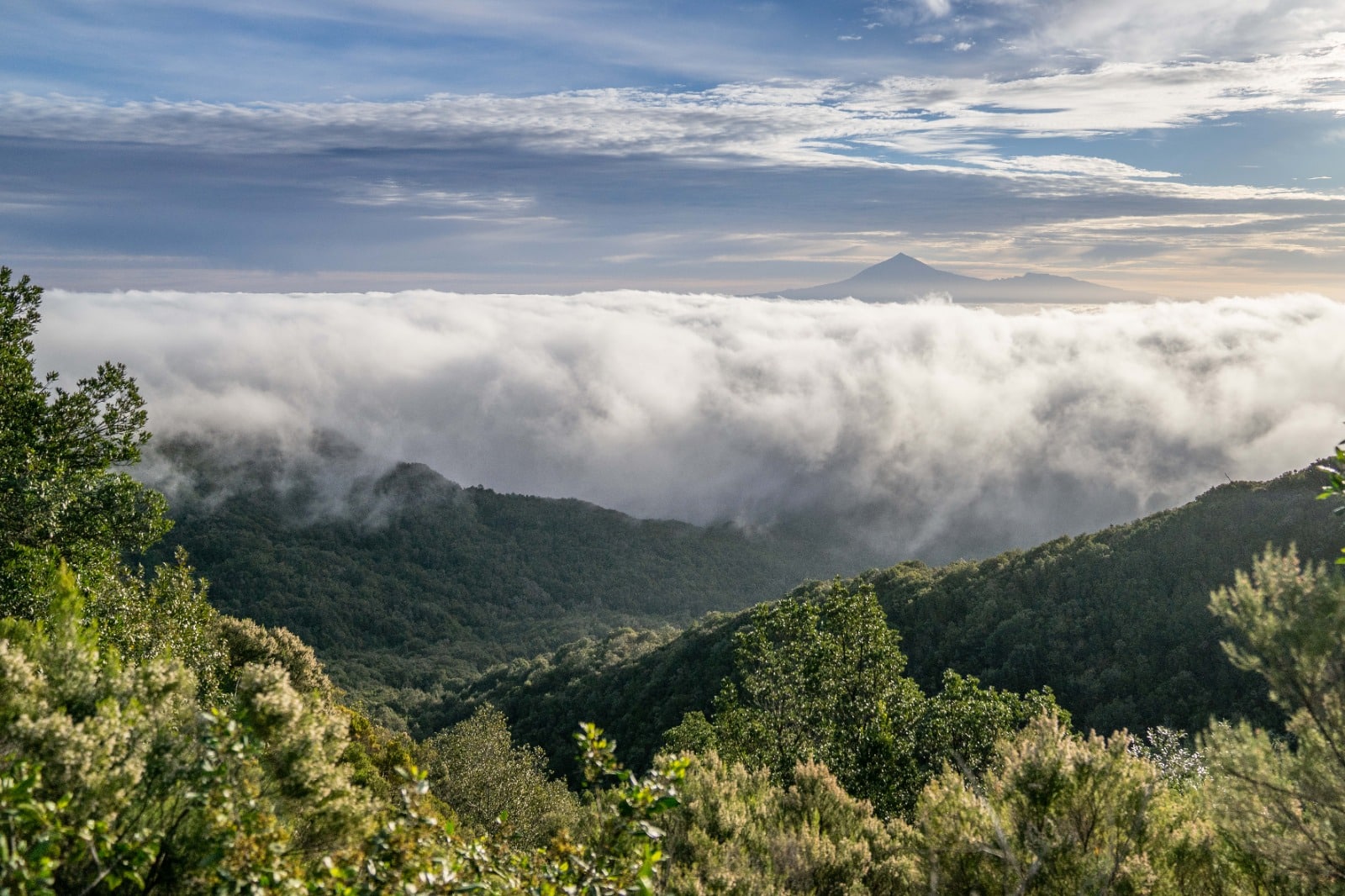 290925-isla de la-gomera (1)