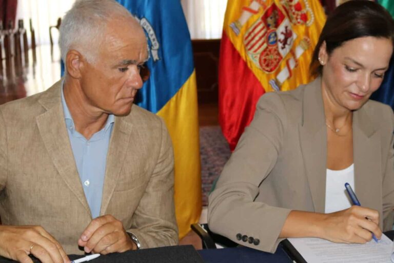 Arona recepción parcial El Mojón 2