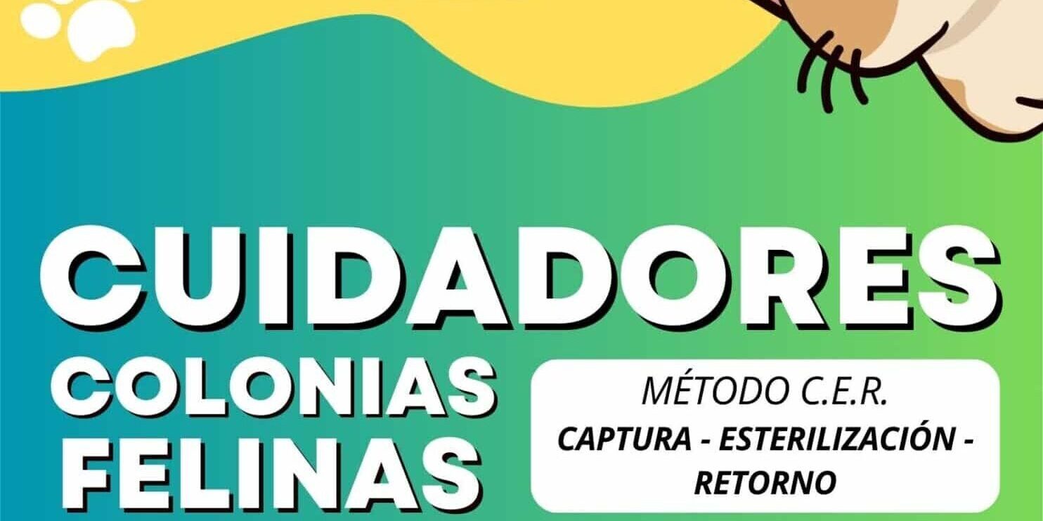 Cartel campaña