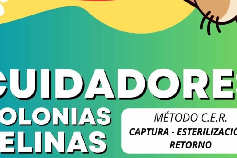 Cartel campaña