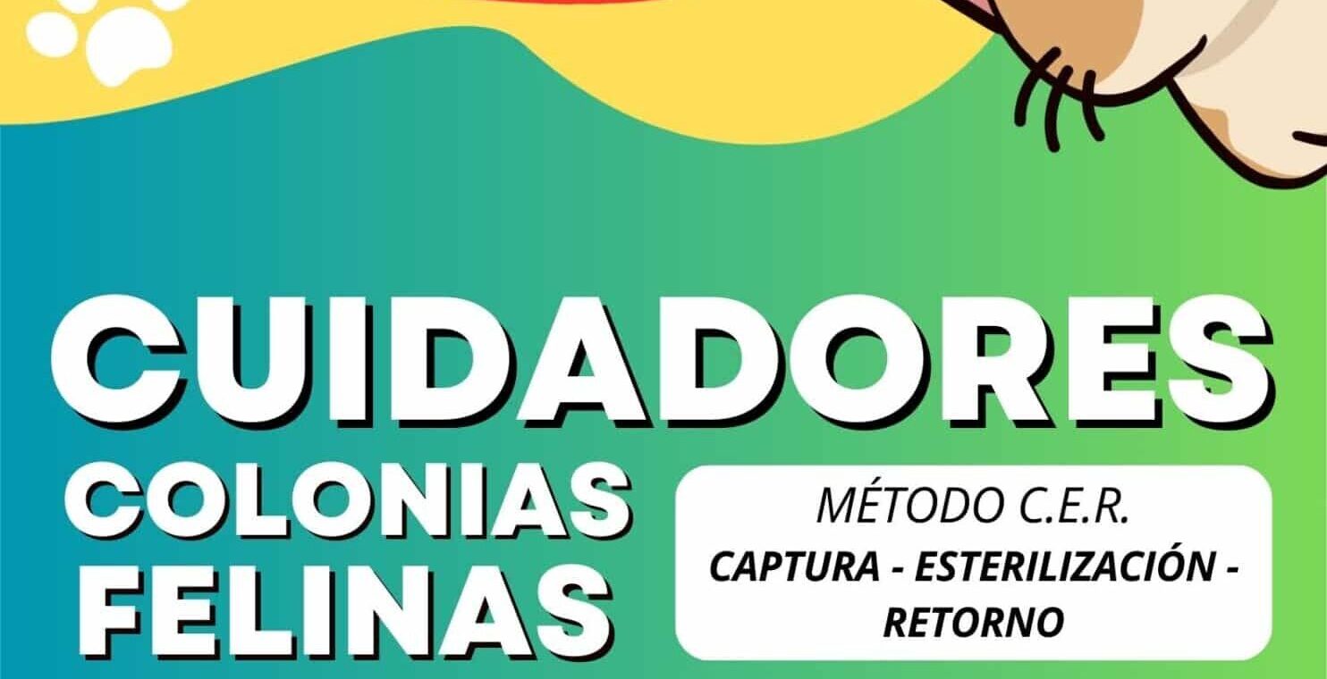 Cartel campaña