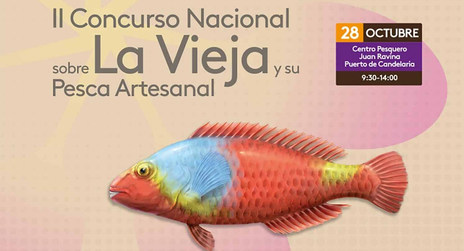 II Concurso Nacional La Vieja